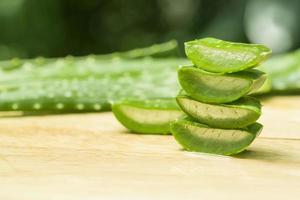 aloe vera frais photo