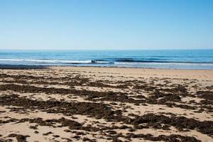 vue panoramique sur la plage d'alvor avec des algues brunes sur le sable.algarve, portugal photo