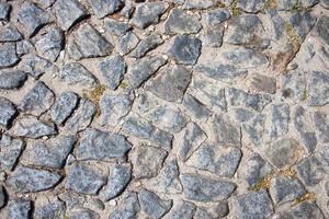 texture de la chaussée en pierre avec de petites plantes qui poussent parmi elles