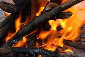 le feu et les branches d'arbres en feu se bouchent photo