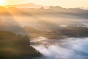 paysage pittoresque sur une colline brumeuse au lever du soleil photo