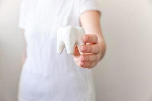 concept de soins dentaires de santé. main de femme tenant un modèle de dent saine blanche isolé sur fond blanc. blanchiment des dents, hygiène bucco-dentaire, restauration des dents, journée du dentiste. photo