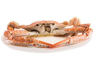 crabe cuit à la vapeur pour les fruits de mer photo