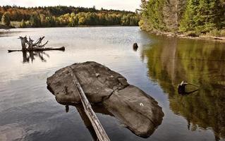 parc algonquin muskoka ontario photo