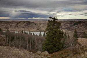 Cypress Hills Alberta Saskatchewan photo