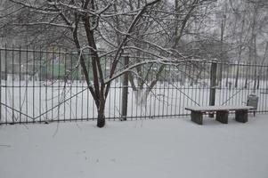 ville enneigée, arbres, animaux quand il neigeait photo