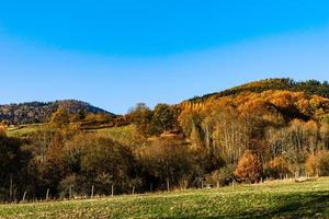 couleurs d'automne de la nature en alsace, feuilles colorées et fgorests photo