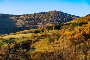 couleurs d'automne de la nature en alsace, feuilles colorées et fgorests photo