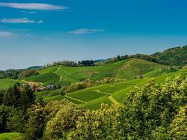 collines verdoyantes avec vignobles d'été en forêt noire photo