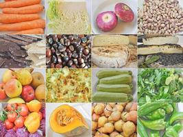 collage de nourriture végétarienne photo