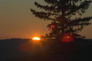 coucher de soleil sur les collines de cyprès photo