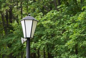 lampadaire sur fond d'arbres dans le parc photo