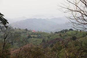 colline et nature photo