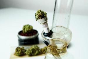 gros plan de bourgeons de marijuana médicale sur fond blanc photo