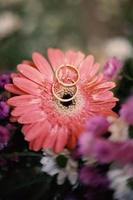 anneaux de mariage symbole amour famille. une paire d'alliances simples photo