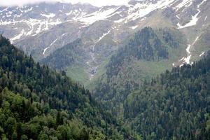 montagnes couvertes de forêts aux sommets enneigés. photo