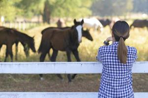 jeune agriculteur avec des chevaux dans les pâturages, paysage d'été de campagne. photo
