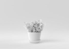 pot d'arbre blanc sur fond blanc. idée de concept minimal créatif. monochrome. rendu 3D. photo
