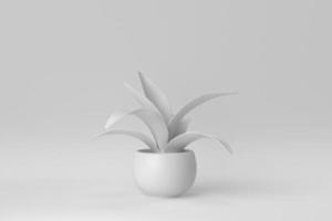 petite plante d'intérieur dans un pot sur fond blanc. notion minimale. rendu 3D. photo