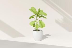 pot d'arbre à fond blanc. idée de concept minimal créatif. rendu 3D. photo