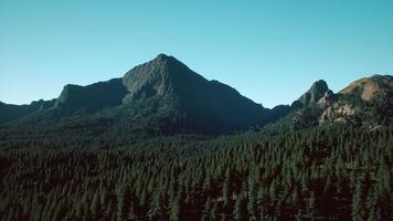 vue aérienne panoramique de la crête rocheuse parmi la forêt verte au coucher du soleil photo