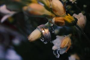 une paire d'alliances sur un bouquet de fleurs photo