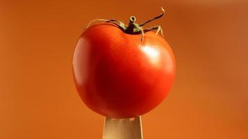 seule tomate rouge savoureuse sur une fourchette en bois. car l'idée de la question de la nourriture est un espace ouvert. baie juteuse multi-nichée. une herbe annuelle ou vivace. culture végétale photo