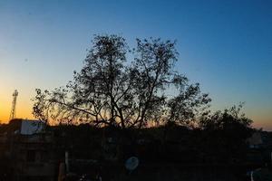 vue sur le coucher ou le lever du soleil derrière une feuille verte photo