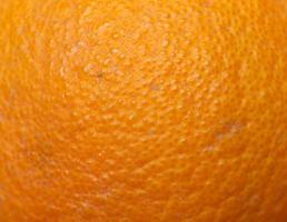 agrumes oranges photo