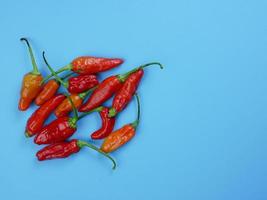 vue de dessus du piment rouge sur fond bleu. adapté au concept d'assaisonnement et de cuisson photo