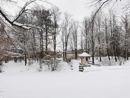 hiver dans le parc pavlovsky neige blanche et arbres froids photo