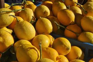 nourriture aux fruits de citron