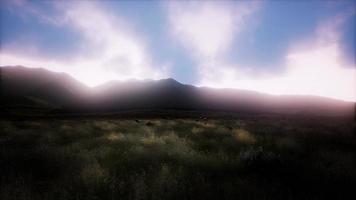 coucher de soleil sur des collines rocheuses herbeuses vertes photo