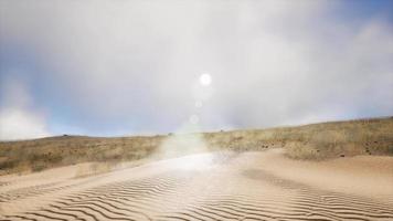 dunes de l'erg chebbi dans le désert du sahara photo