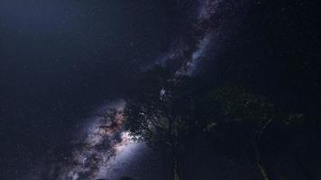 Astro 4k de la galaxie de la voie lactée au-dessus de la forêt tropicale. photo