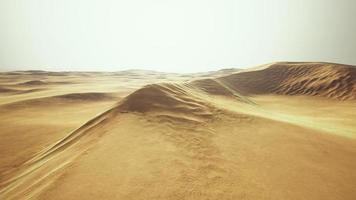 grande dune de sable dans le paysage du désert du sahara photo