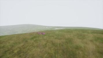 paysage de collines vertes aériennes dans le brouillard photo