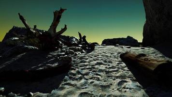 hyperlapse de plage rocheuse avec des arbres morts photo