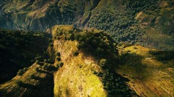 forêt tropicale en vue matinale des hautes terres de malaisie photo