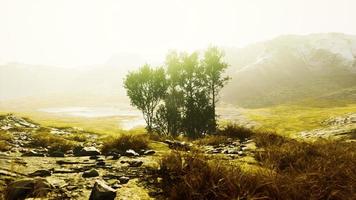 paysage pittoresque avec des falaises abruptes et des arbres pendant une journée ensoleillée photo