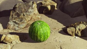 pastèque fraîche sur une belle plage de sable photo