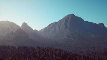 vue aérienne sur la chaîne de montagnes avec forêt de pins en bavière photo