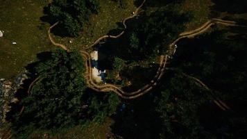 vue aérienne de la route à travers la forêt photo