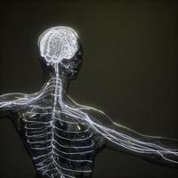 examen de radiologie du cerveau humain photo