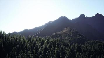 prise de vue au grand angle du paysage de montagnes avec forêt de printemps photo