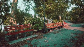 bancs vides dans le parc pendant la quarantaine due à la pandémie covid-19 photo