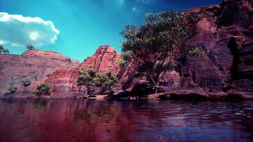 vue panoramique sur le fleuve colorado photo
