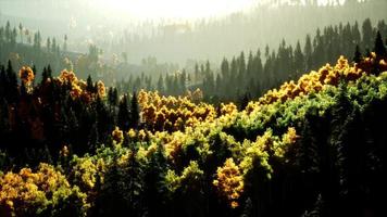 coucher de soleil lumineux dans les montagnes avec forêt photo