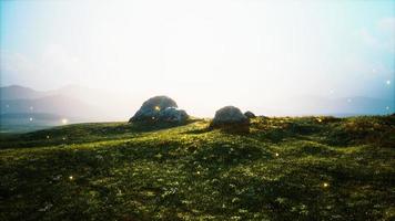 prairie alpine avec rochers et herbe verte photo