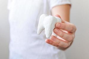 concept de soins dentaires de santé. main de femme tenant un modèle de dent saine blanche isolé sur fond blanc. blanchiment des dents, hygiène bucco-dentaire, restauration des dents, journée du dentiste.